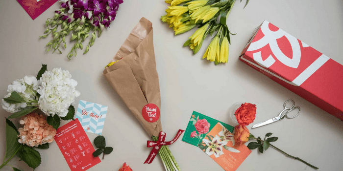 Bloomsybox Coupons